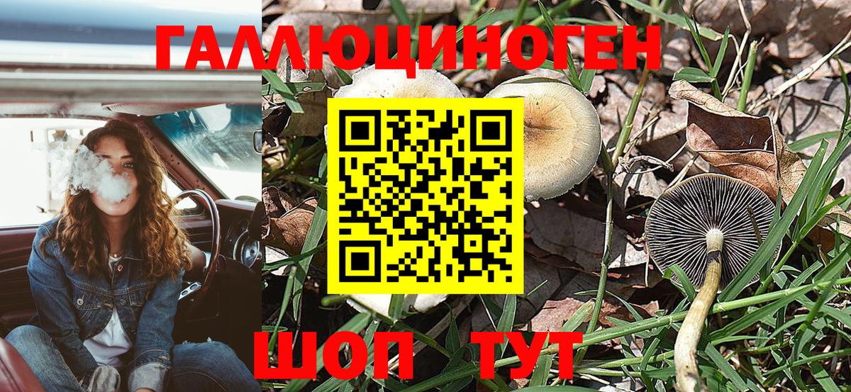 Псилоцибиновые грибы Psilocybe  Вход с VPN  Нерюнгри  Галлюциногенные грибы GOLDEN TEACHER 
